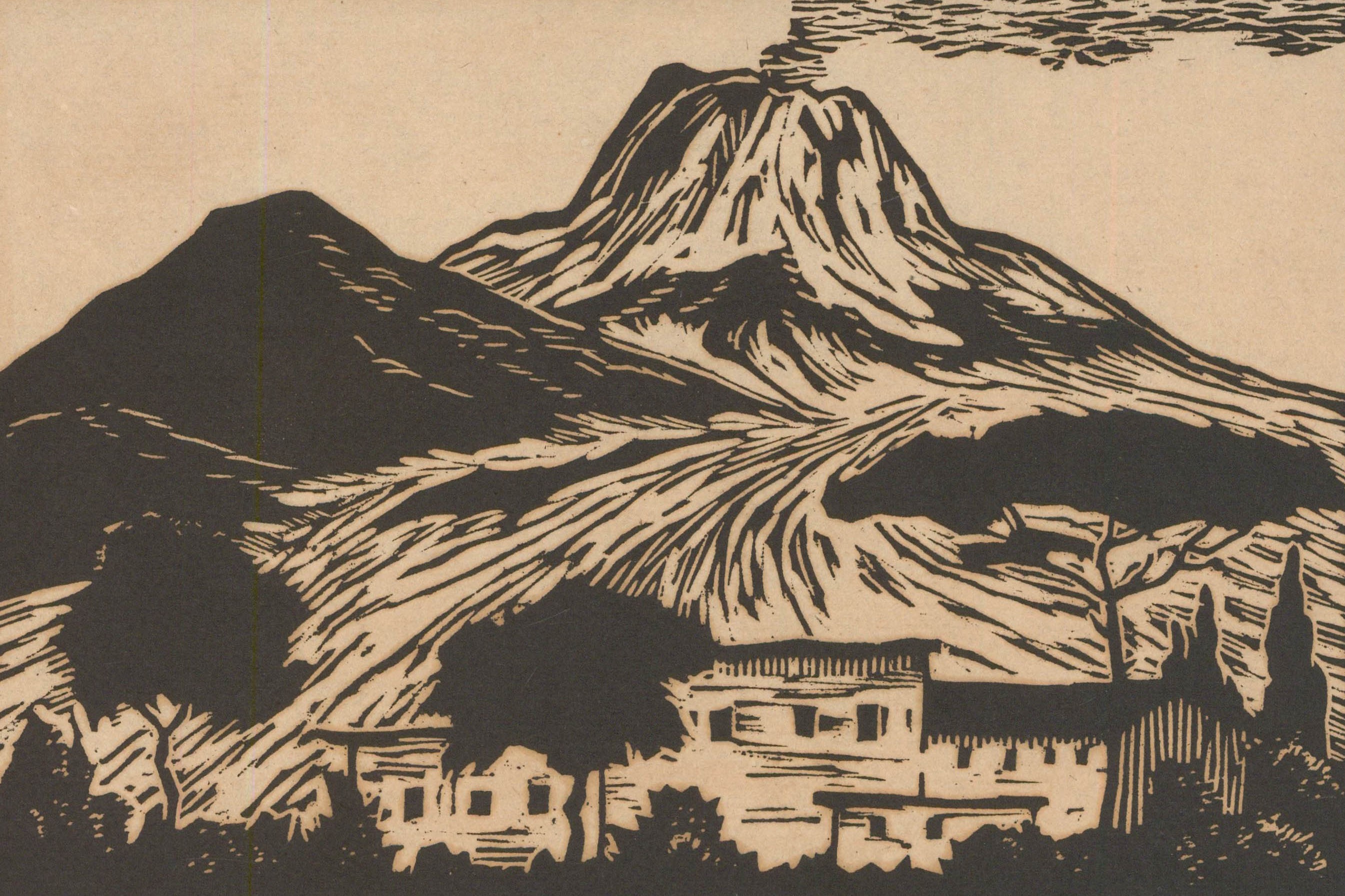 Hans Venter Hans Venter