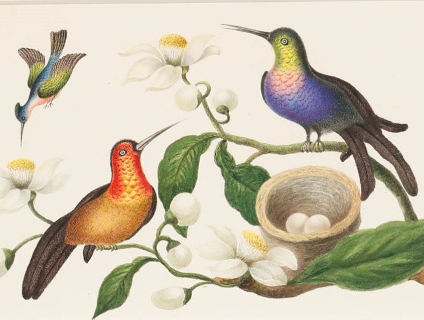 Sophia Katherine Charleton