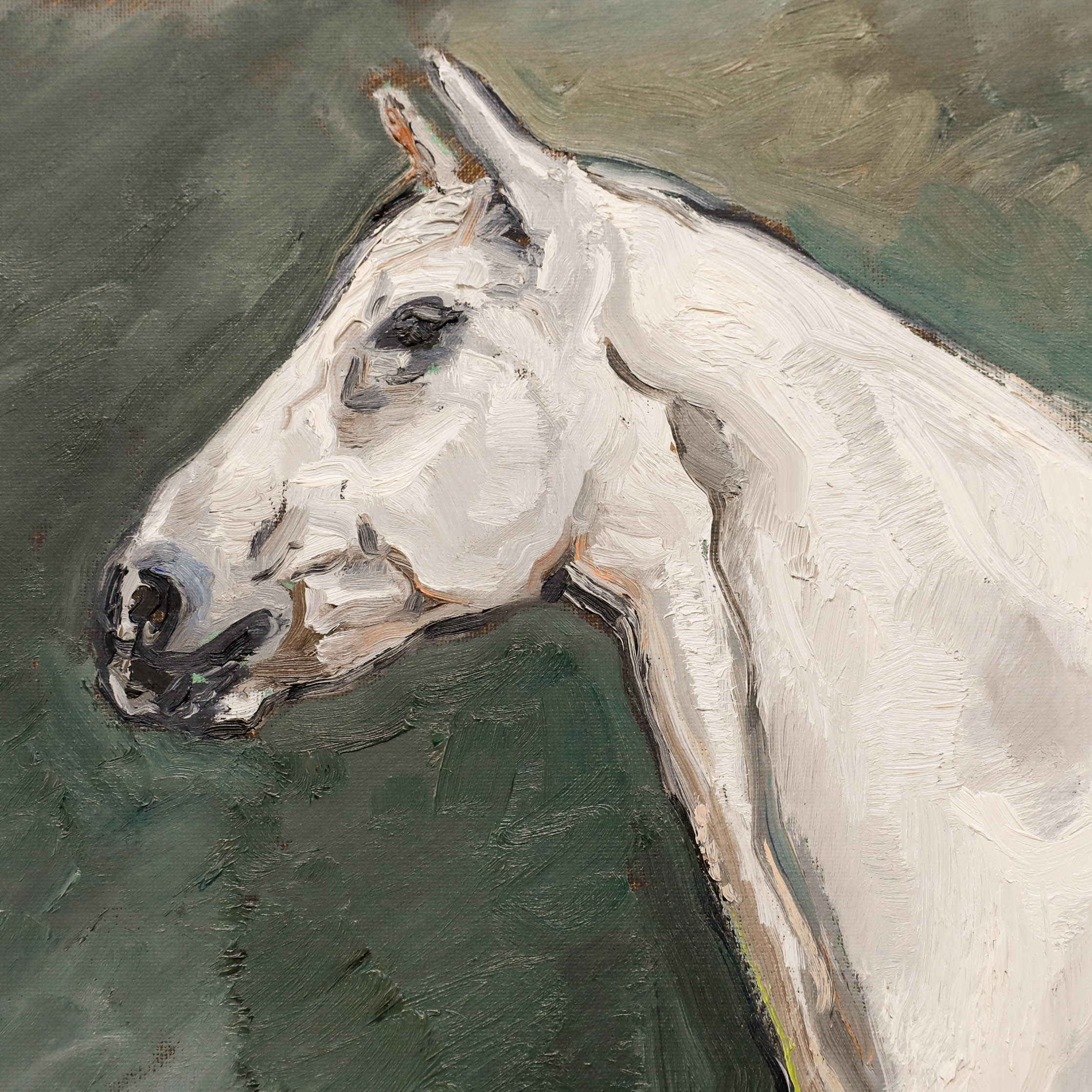 Nick Todhunter Nick Todhunter