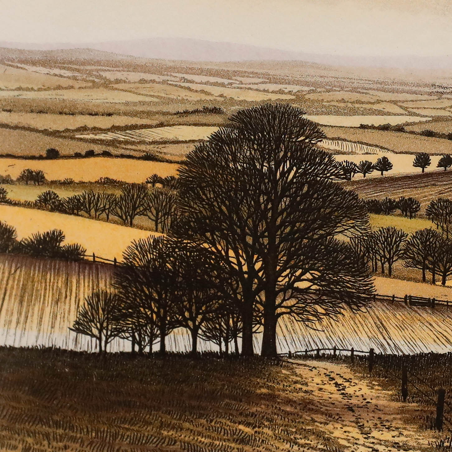 Kathleen Caddick Kathleen Caddick