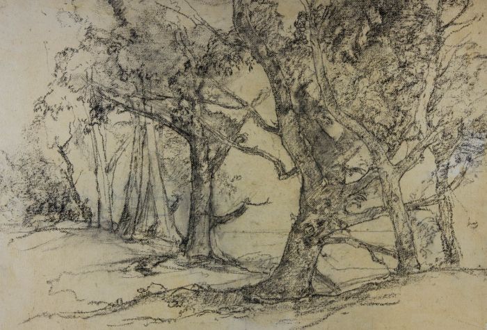 Oliver Hall - 1947 Charcoal Drawing, Trees