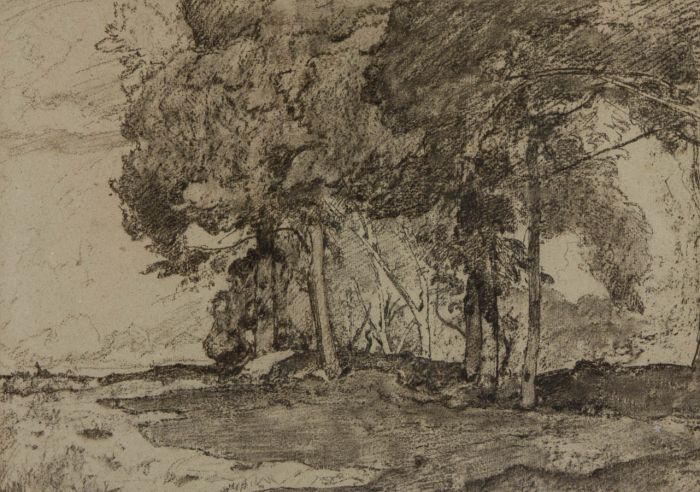 Oliver Hall RA RWS RE - Early 20th Century Charcoal Drawing, Trees in a Landscape