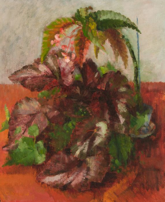 Constance Nash (1921-2015) - Signed 20th Century Oil, Begonia, Rex and Friends