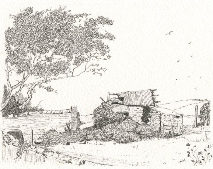 VMW - Good Contemporary Pen and Ink Drawing