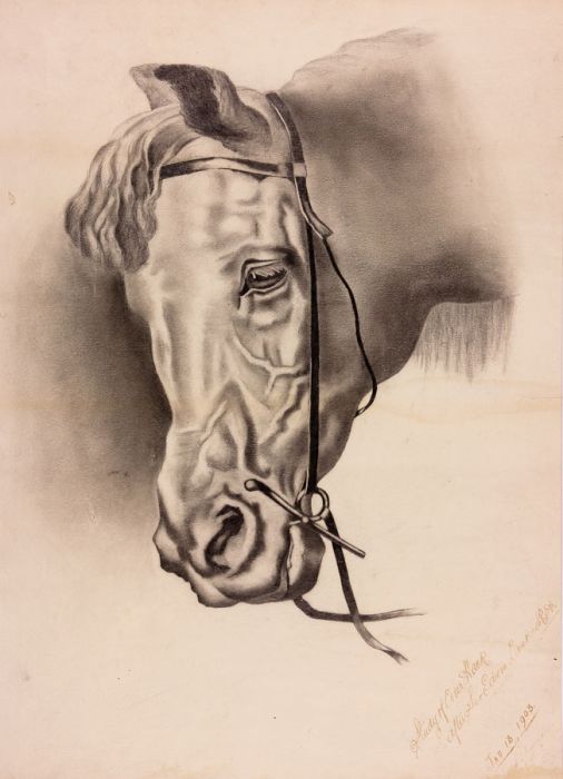 1903 Graphite Drawing - Study of Cover Hack after Sir Edwin Landseer RA