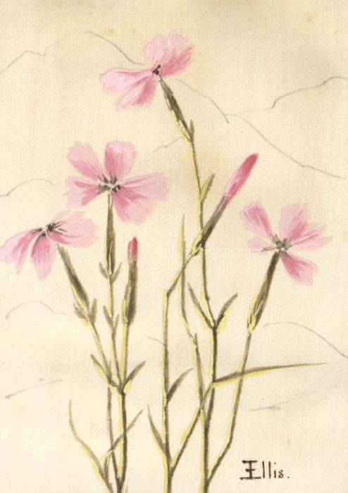 Emily Ellis - 19th Century Gouache, Hand Painted Christmas Card on Silk