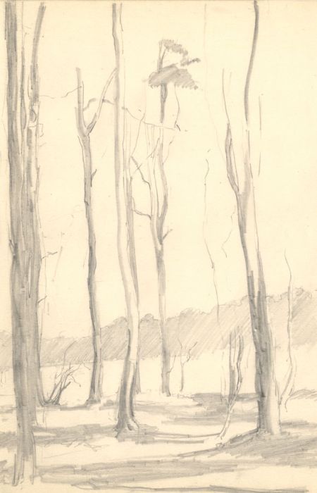 Millicent L. Woodforde - 1905 Graphite Drawing, Trees
