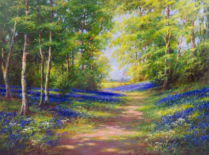 Early 20th Century Oil - A Bluebell Wood