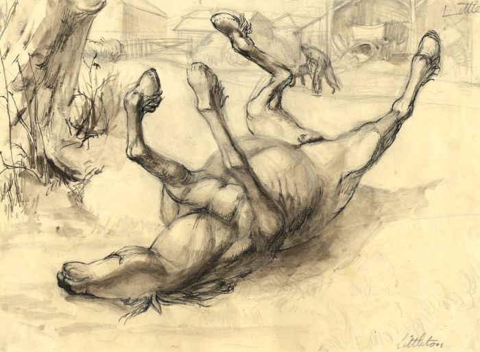 Littleton - Mid 20th Century Pen and Ink Drawing, Fallen Horse