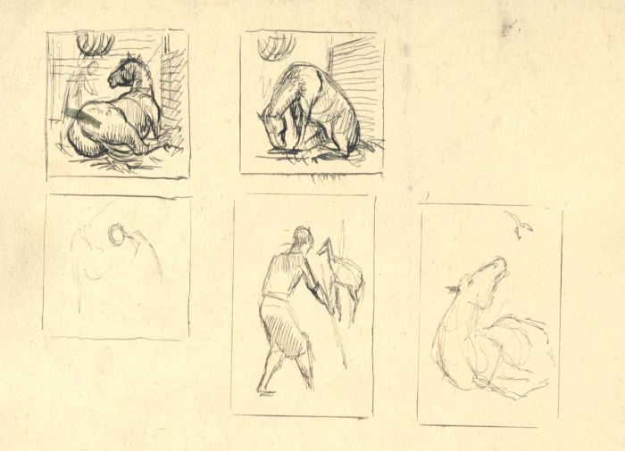 Double-Sided Mid 20th Century Graphite Drawing - Animal Illustrations