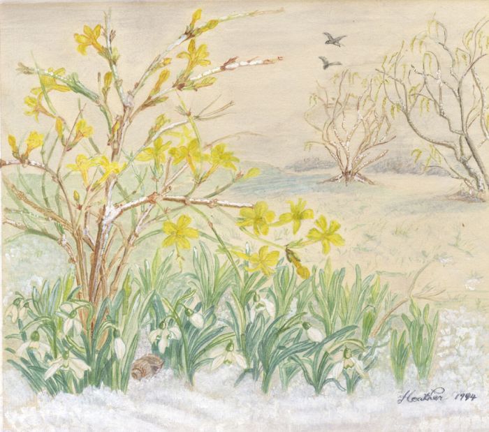Heather - 1994 Watercolour, Winter Flowers