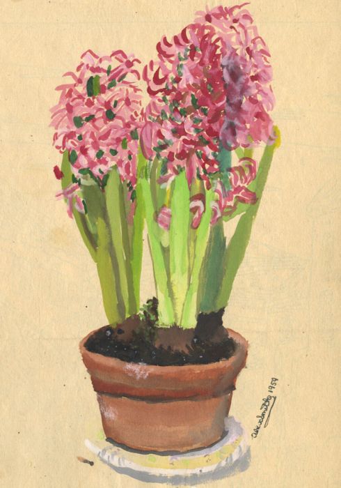 Alex Smith - Mid 20th Century Gouache, Set of Four Botanical Studies