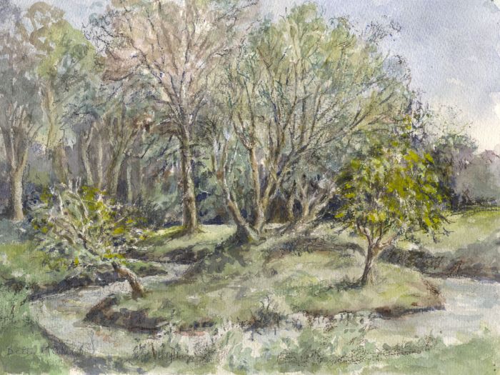 Betty Miller - Mid 20th Century Watercolour, Edge of the Forest