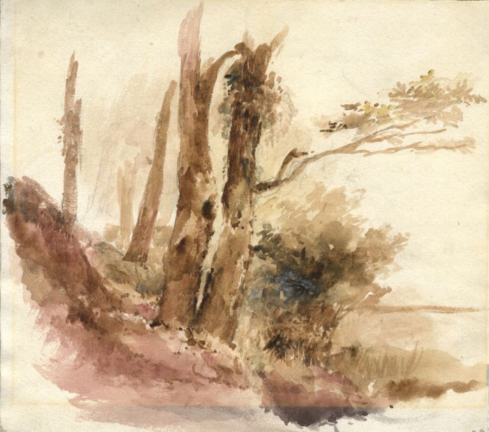 19th Century Watercolour - Edge of the Forest