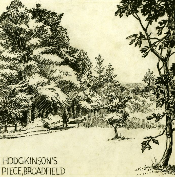 Mid 20th Century Pen and Ink Drawing - Hodgkinson's Piece, Broadfield