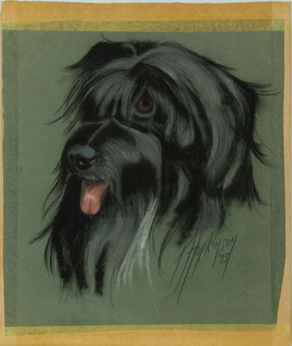 P. Hopkinson - 1973 Pastel, Study of a Dog