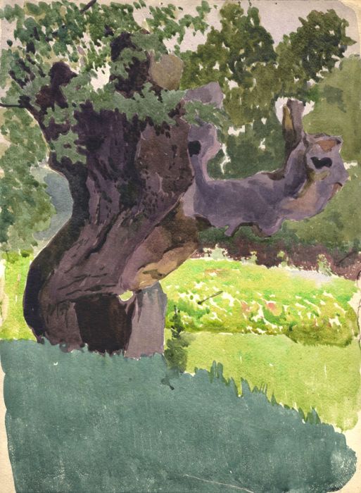 Early 20th Century Watercolour - Tree in a Landscape