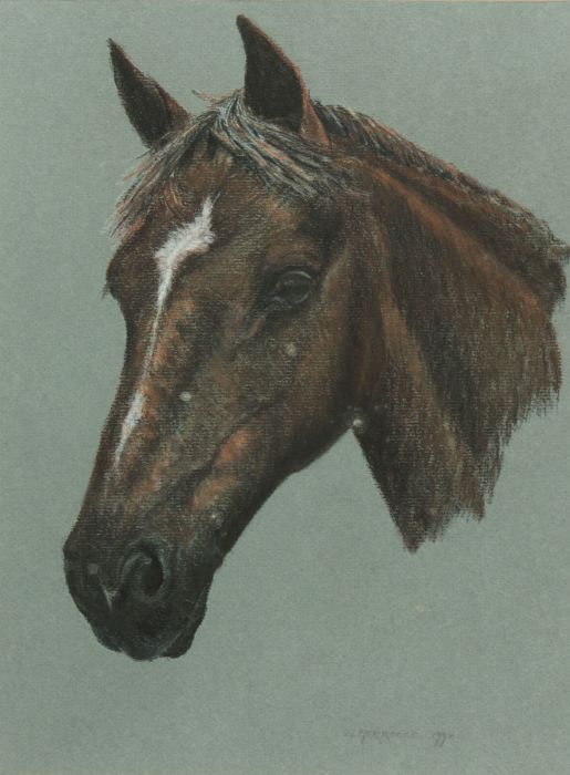 E. Morrocco - 1992 Pastel, Equine Portrait, 'Comet'