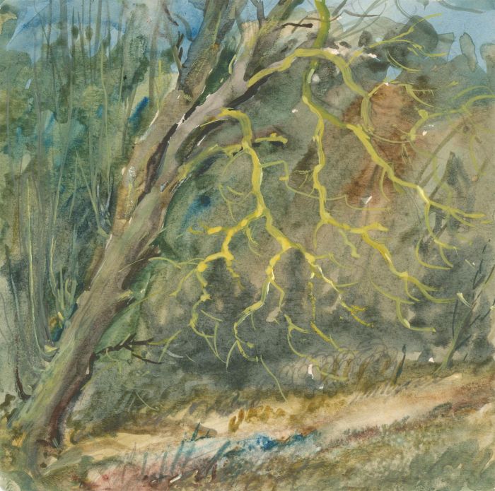 C.H. Thompson - Set of Three 2011 Watercolours, Tree Studies