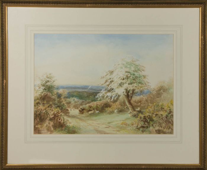 W. Hoyer - Signed & Framed 20th Century Watercolour, Windswept Shade