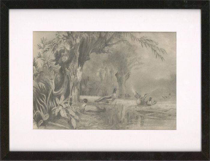 1866 Graphite Drawing - Ducks in the Pond