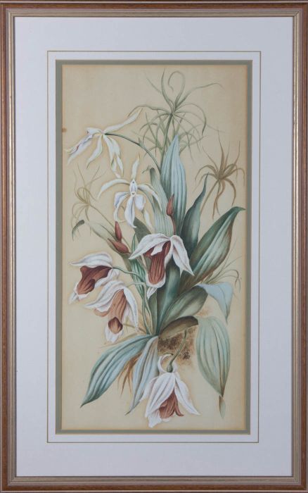 K.S. - 1889 Watercolour, Flower Study