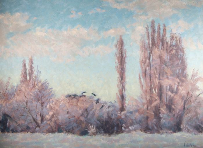 David Wilson (1919-2013) - 1989 Oil, St Albans Meadow