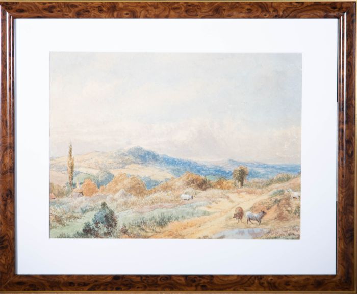 Late 19th Century Watercolour - Sheep Grazing In The Hills