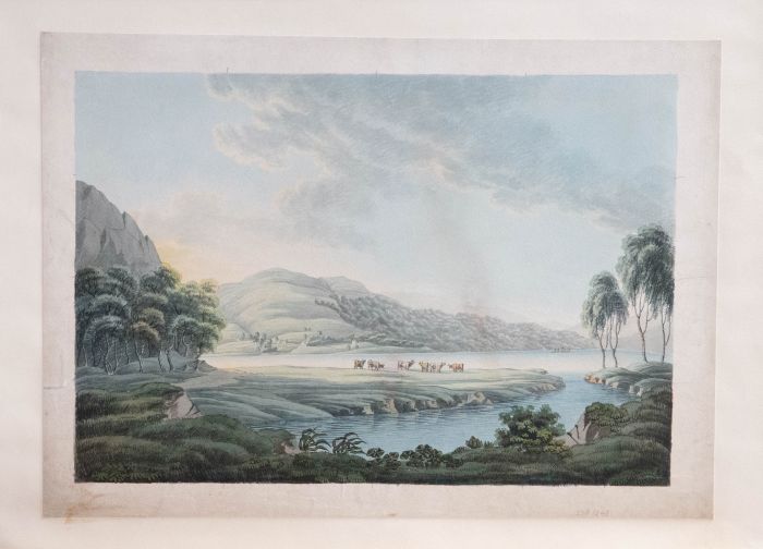 Late 19th Century Watercolour - Cattle On A Promontory
