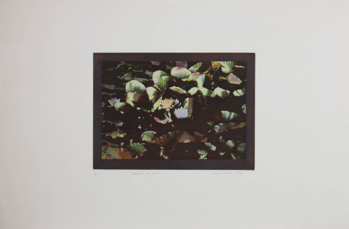 Paul Rogers  - 1978 Aquatint, Beneath the Pond