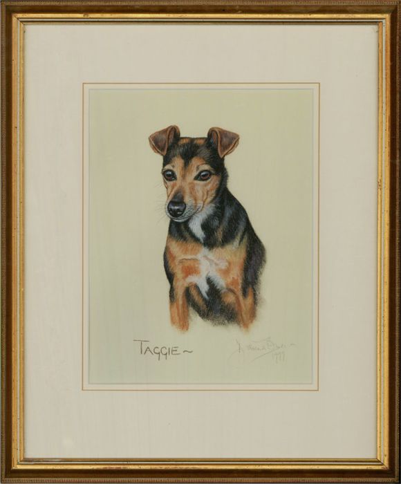 Davina Owen  - 1999 Pastel, Taggie the Terrier