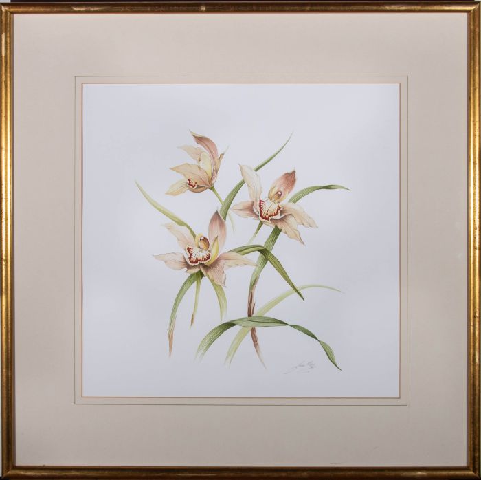 Jan Mere - 1996 Watercolour, Orchids