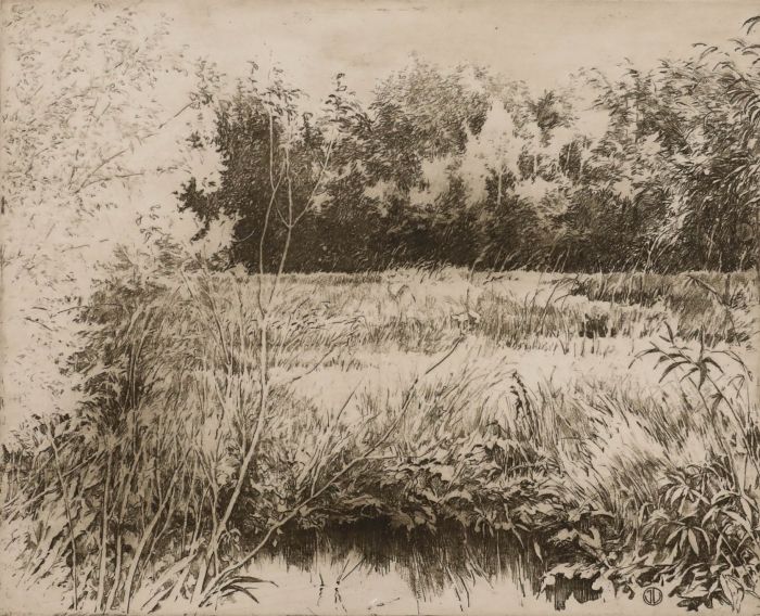 Contemporary Etching - Molsbroek II