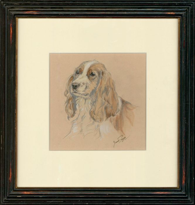 Janet Payne - Framed 20th Century Graphite Drawing, Study of a Spaniel