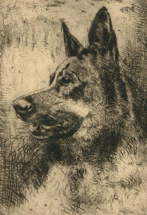 Herbert Cutner (1881-1969) - Drypoint, Portrait of a German Shepherd