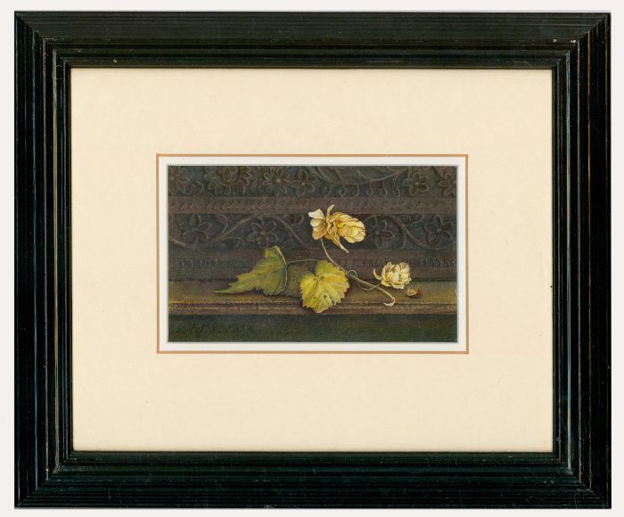 Ann Mumford - Contemporary Watercolour, Study of Hops