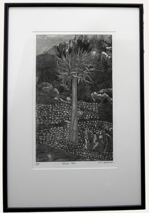 G. C. Goldman - Framed Contemporary Aquatint, Quiver Tree