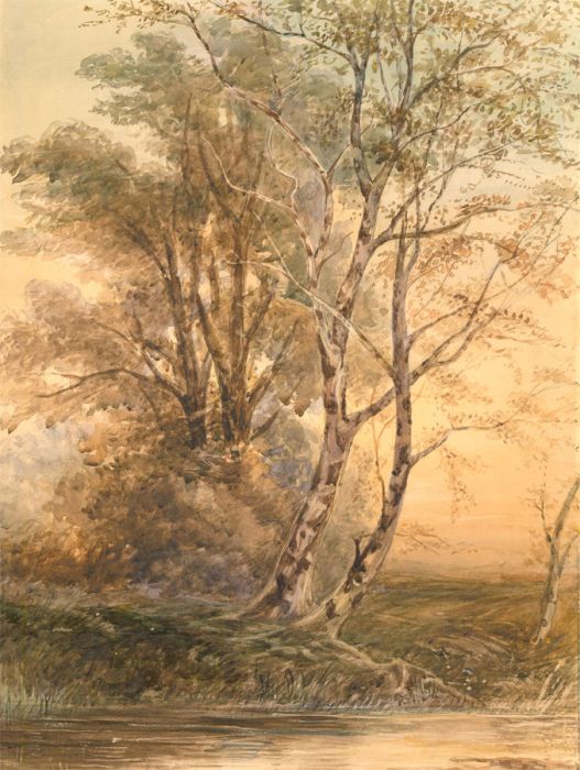 Early 20th Century Watercolour - Brook at Dawn