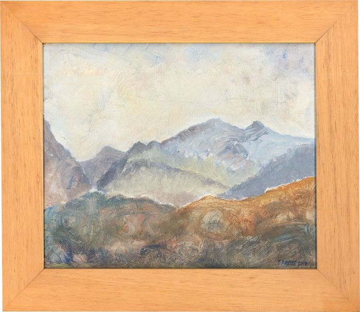 Seiriol Davies - Framed Contemporary Oil, Mynyddoedd Eryri