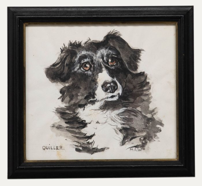 M.A.W - Framed 20th Century Watercolour, Quiller the Border Collie