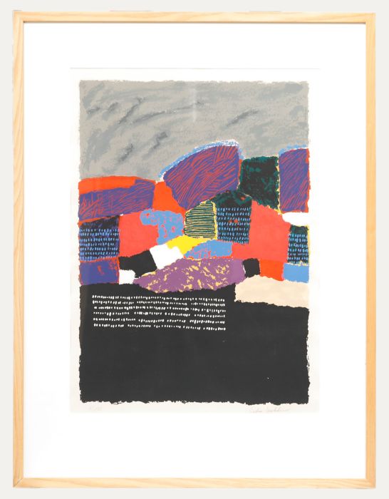 Saduo Kahili - 20th Century Silkscreen, Patchwork Fields
