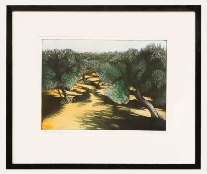 Morna Rhys - Contemporary Etching, Olive Groves, Cyprus