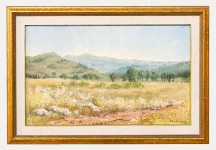 Barbara Poultney - Framed 20th Century Oil, South African Landscape