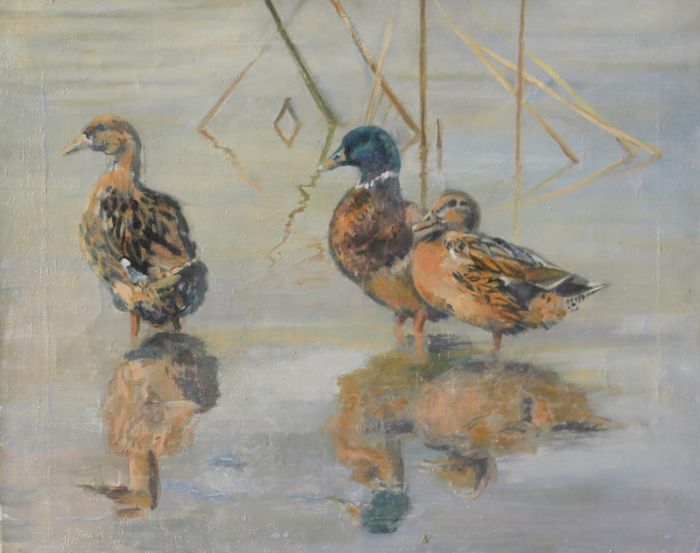 20th Century Oil - Mallard Ducks Wading