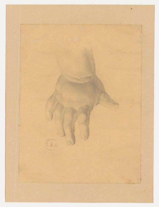 Edward Ridley (1883-1946) - Graphite Drawing, Study of an Infant's Hand II