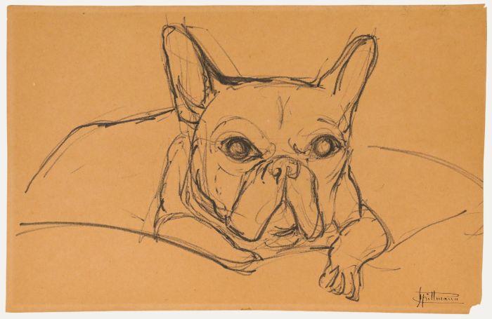 J. Pillmann - Mid 20th Century Pen and Ink Drawing, Study of a French Bulldog