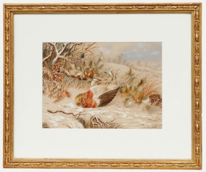 Emma Walter (1833-1893) - Late 19th Century Watercolour, The Dead Robin