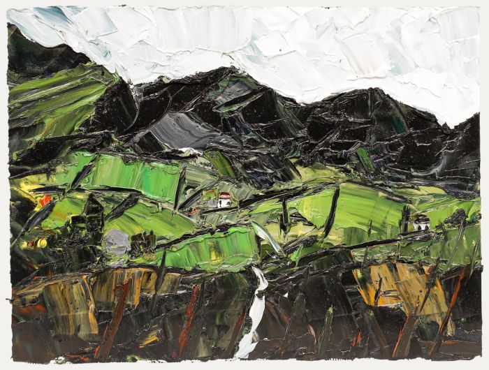 Daniel Nichols - Contemporary Oil, Welsh Mountain Valley