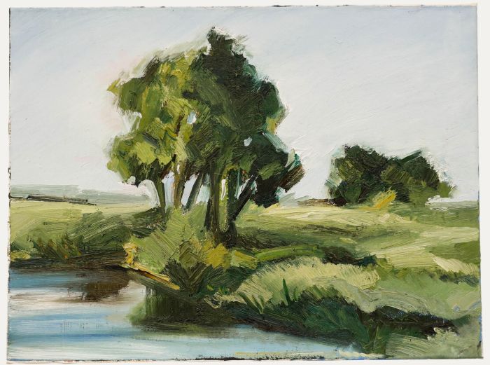 Nick Todhunter - Contemporary Oil, Summer Trees