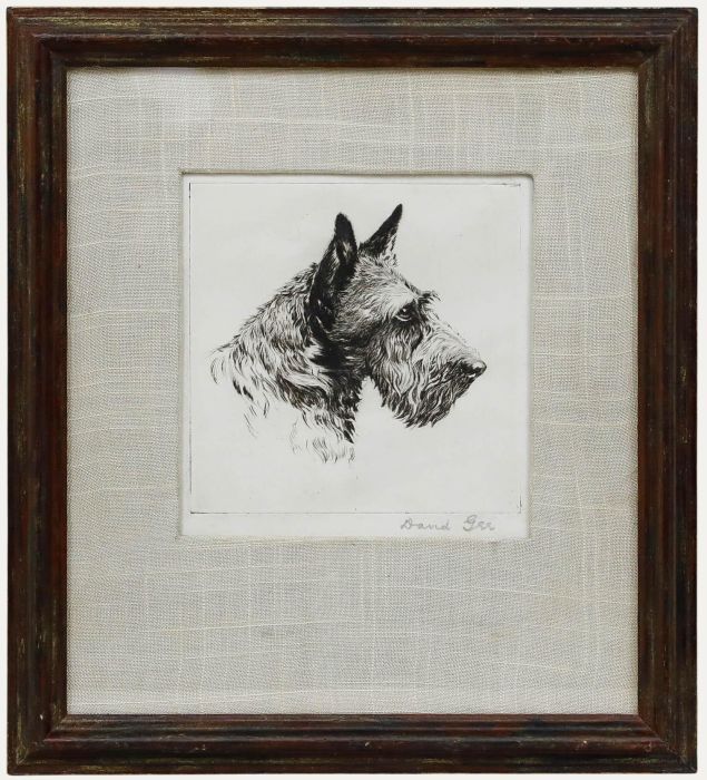 David Gee - Framed Early 20th Century Etching, Scottish Terrier